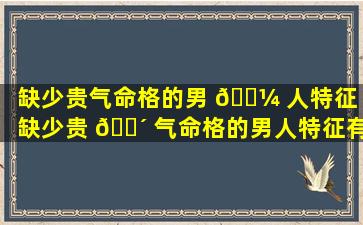 缺少贵气命格的男 🐼 人特征「缺少贵 🌴 气命格的男人特征有哪些」